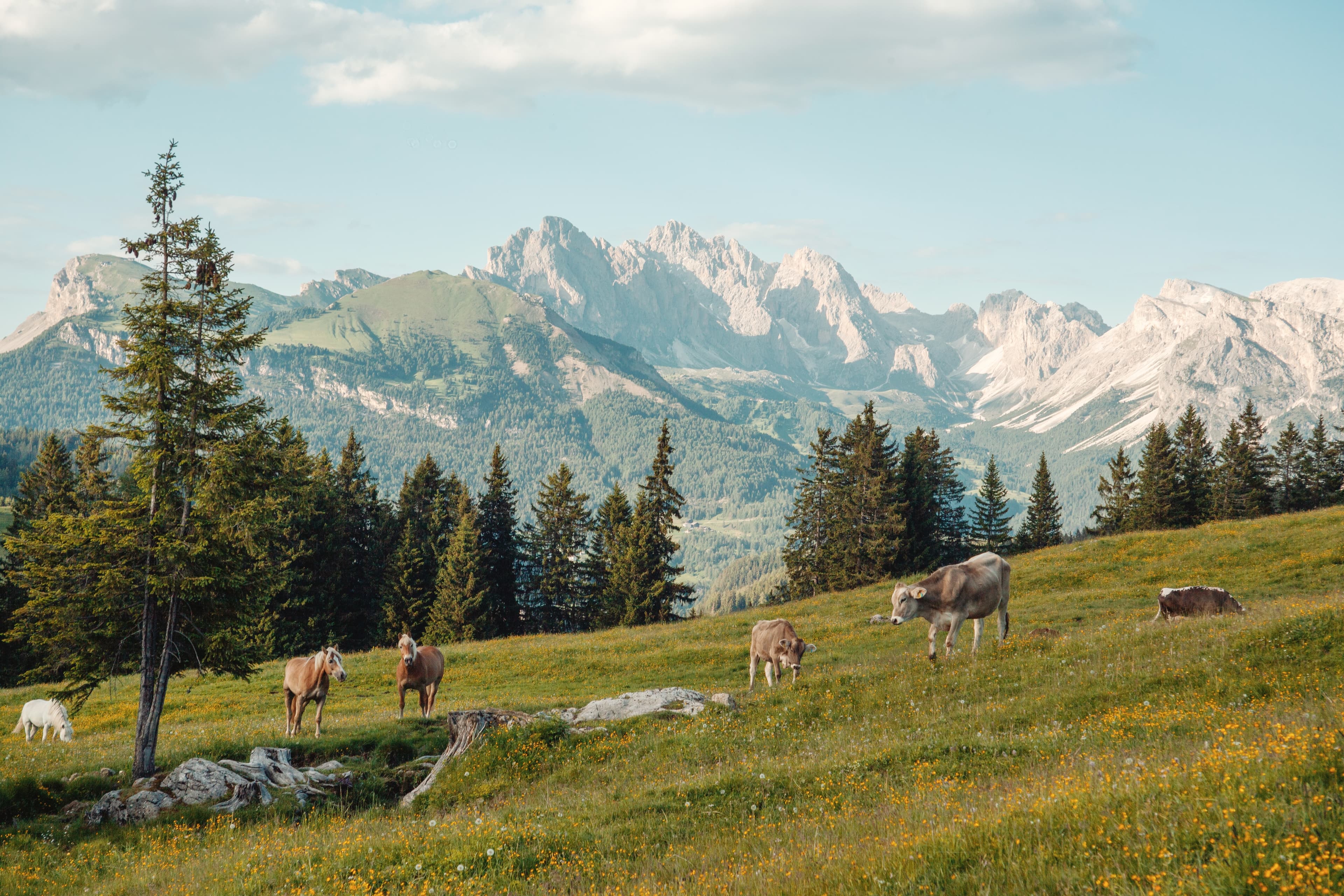 Südtirol